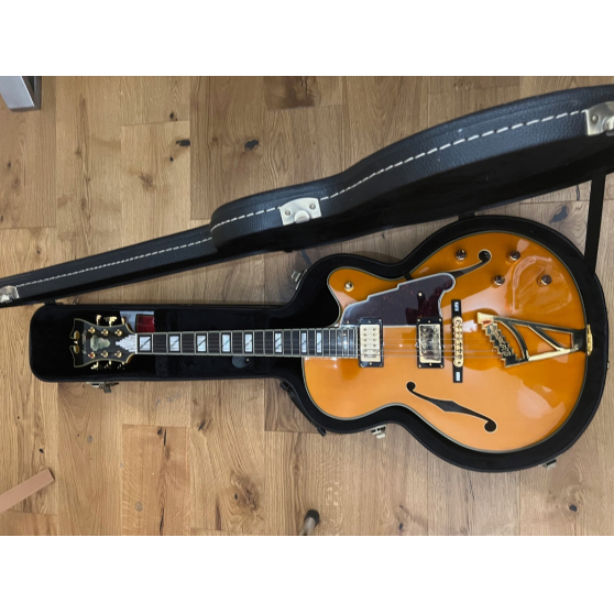 Guitare Electrique D\'angelico