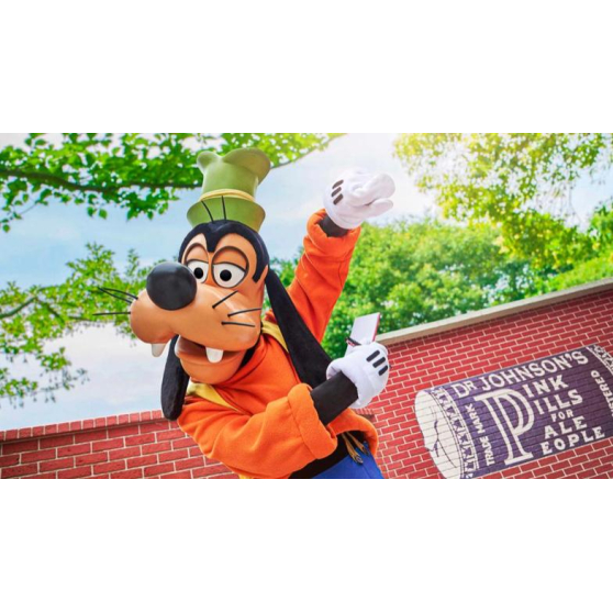 Billet Disneyland libert&eacute; non dat&eacute; 1jour