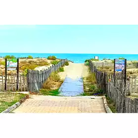 Petites annonces gratuites 66 Pyr&eacute;n&eacute;es Orientales - Marche.fr